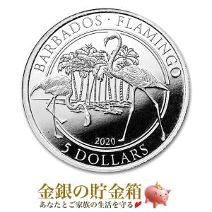 クルーガーランド銀貨 1オンス 2026年製 クリアケース入り 純銀 銀貨