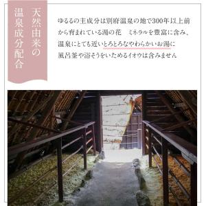 入浴剤 ギフト 温泉の素 ゆるる プレミアム ...の詳細画像4