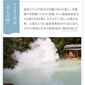 入浴剤 ギフト 温泉の素 ゆるる プレミアム ...の詳細画像5