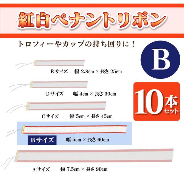 無地紅白ペナントリボン Bサイズ 5×60cm 10本セット トロフィー・カップ用リボン　表彰用　記...