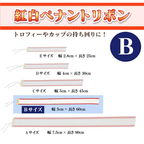 無地紅白ペナントリボン Bサイズ 5×60cm  トロフィー・カップ用リボン　表彰用　記念品