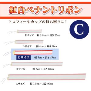 無地紅白ペナントリボン Cサイズ 5×45cm トロフィー・カップ用リボン　表彰用　記念品