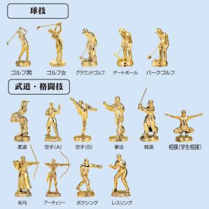 トロフィー 表彰用 記念品 Bサイズ 高さ13...の詳細画像3
