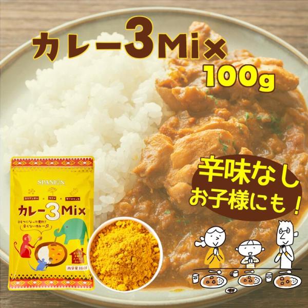 カレー3MIX 100g 50皿分 スパイスカレー カレーパウダー カレー 辛味なし ブレンド不要 ...