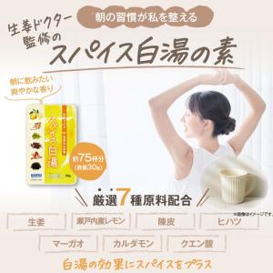 しょうが湯 生姜ドクター 石原新菜 先生 監修...の詳細画像2