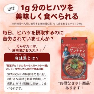 ヒハツパウダー 100g + 麻辣湯の素 セッ...の詳細画像5