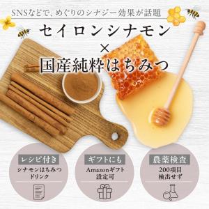 シナモン はちみつ セイロンシナモンパウダー ...の詳細画像1