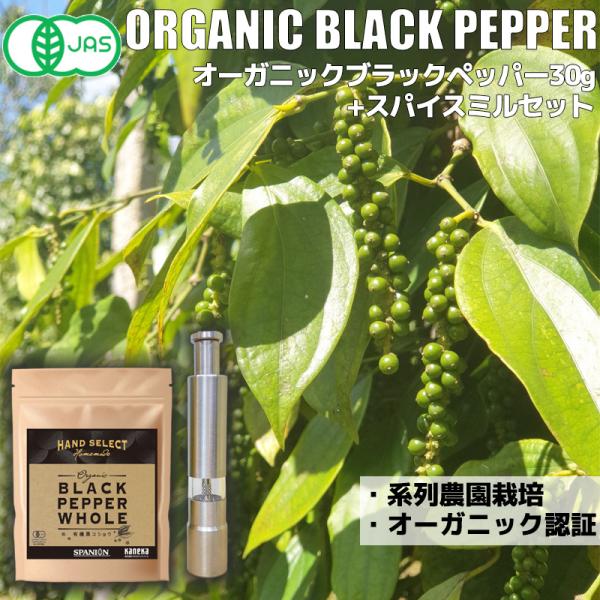 黒コショウ オーガニックブラックペッパー 30g + ミルセット 有機JAS ホール ブラックペッパ...