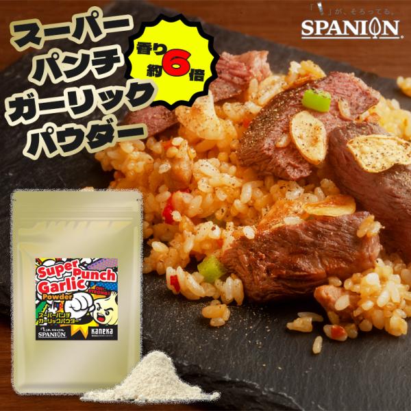 スーパーパンチガーリック 100g ガーリック ガーリックパウダー にんにく 粉末 ニンニク 強い香...