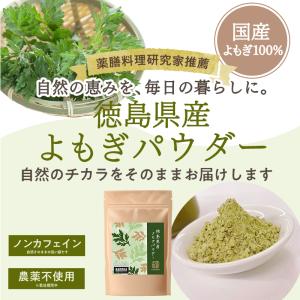 よもぎ 徳島県産 よもぎパウダー 100g ヨ...の詳細画像1