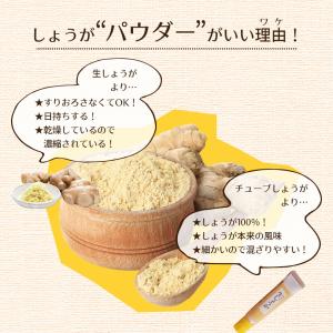 しょうが パウダー 500g ジンジャーパウダ...の詳細画像2