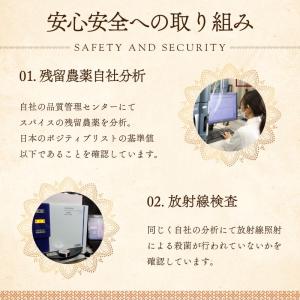 ターメリック パウダー 500g 大容量 ウコ...の詳細画像3