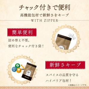 ターメリック パウダー 500g 大容量 ウコ...の詳細画像4