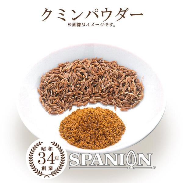 クミン パウダー 100g クミン 粉末 チャック付袋 自社農薬検査 レビュープレゼント SPANI...