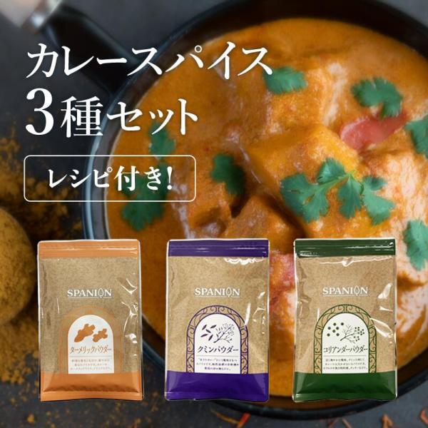 スパイスカレー 無添加 3種セット レシピ付き 各100g 約100皿分 カレーパウダー スパイスセ...