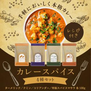 カレースパイス 4種セット 各100g スパイ...の詳細画像1