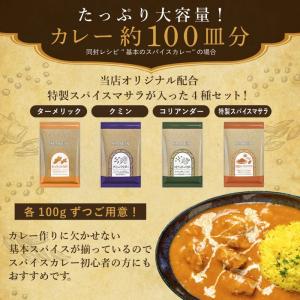 カレースパイス 4種セット 各100g スパイ...の詳細画像2