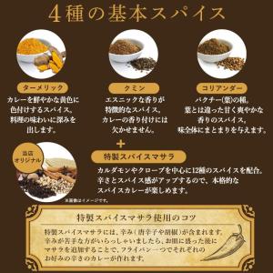 カレースパイス 4種セット 各100g スパイ...の詳細画像3