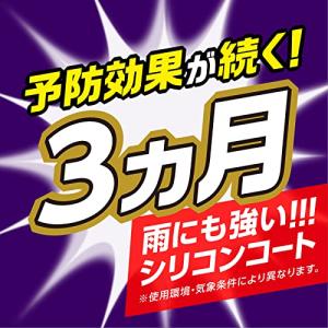 クモの巣消滅ジェット 450ml 4本 蜘蛛の...の詳細画像4