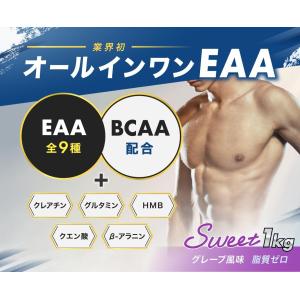 オールインワンEAA BCAA クレアチン グ...の詳細画像1