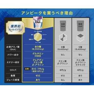 オールインワンEAA BCAA クレアチン グ...の詳細画像5