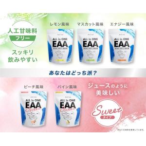 オールインワンEAA BCAA クレアチン グ...の詳細画像5