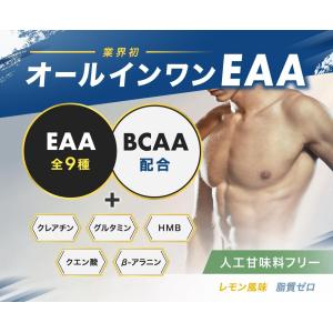 オールインワンEAA BCAA クレアチン グ...の詳細画像1