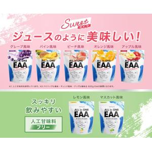 オールインワンEAA BCAA クレアチン グ...の詳細画像5