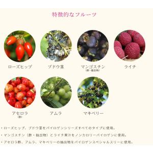 【14時までのご注文で当日発送】FFCパイロゲ...の詳細画像3