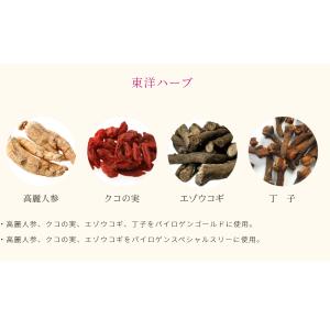 【14時までのご注文で当日発送】FFCパイロゲ...の詳細画像4