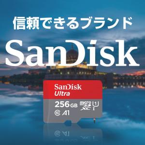 microSDXC マイクロSDカード 256...の詳細画像1