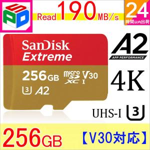 microSDXC 256GB SanDisk UHS-I U3 V30 4K A2 Class10 R:190MB/s W:130MB/s Nintendo Switch動作確認済 SATF256NA-QXAV 翌日配達送料無料｜spdshop