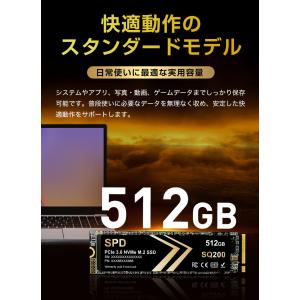 ポイント2倍 SPD SSD 512GB M....の詳細画像2