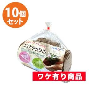 ココピート　ココナチュラル　ディスクタイプ　100g 　ワケあり10個セット
