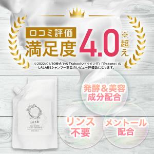 【お得な特別限定価格】クリームシャンプー 300g  購入制限なし 低刺激シャンプー オールインワン ヘアケア 美髪 サクラの香り うねりケア 梅雨 シャンプー