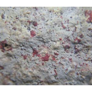 ACTINOLITE(透緑閃石)愛媛県五良津山3355 : ラピス - 通販 - Yahoo