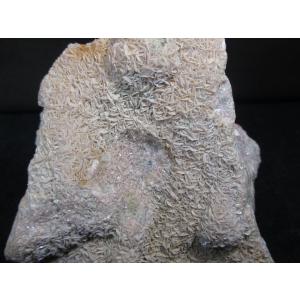 Potassium feldspar(カリ長石：マネバッハ式双晶)岐阜県蛭川田原6690