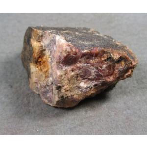 恐竜の卵（サルタザウルス）の化石2032 : ラピス - 通販 - Yahoo