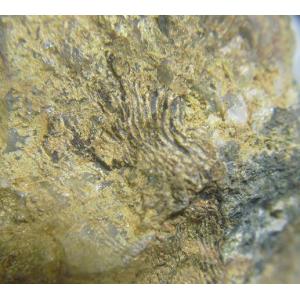 ARSENIOSIDERITE(アーセニオシデライト)大分県木浦鉱山597