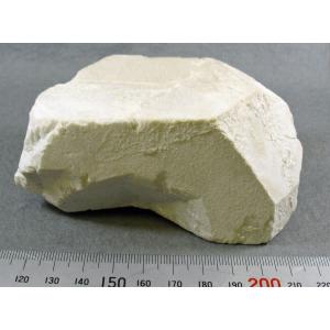 Potassium feldspar(カリ長石：マネバッハ式双晶)岐阜県蛭川田原6690