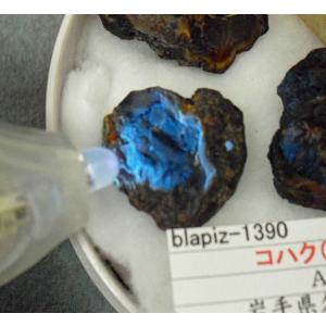 Amber(琥珀)岩手県久慈blapiz-1390｜specimen-lapiz