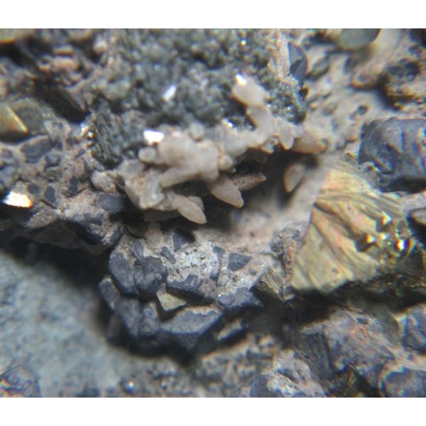 CHALCOPYRITE(黄銅鉱)5421