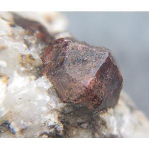 Potassium feldspar(カリ長石：マネバッハ式双晶)岐阜県蛭川田原6690