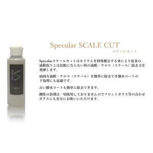 強力油膜 ウロコ 除去ガラスクリーナー SPE...の詳細画像2