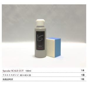 強力油膜 ウロコ 除去ガラスクリーナー SPE...の詳細画像4