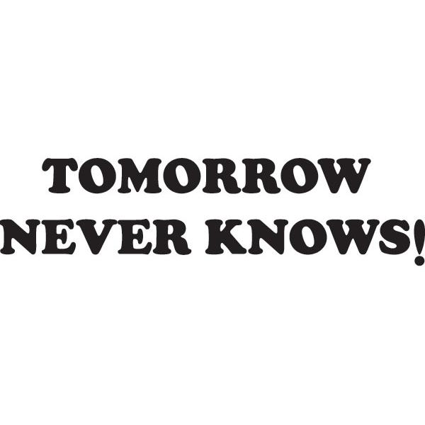 TOMORROW NEVER KNOWS Ringer T-shirt WHITE×BLACK/リン...