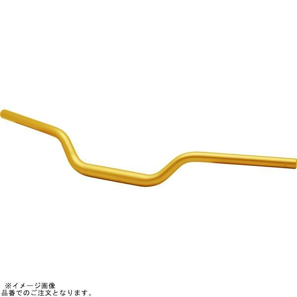 EFFEX EBTF376G イージーフィットバー ゴールド XSR900