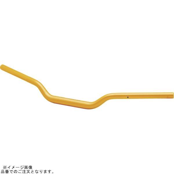 EFFEX PBTF369G イージーフィットバーPlus ゴールド MT-09