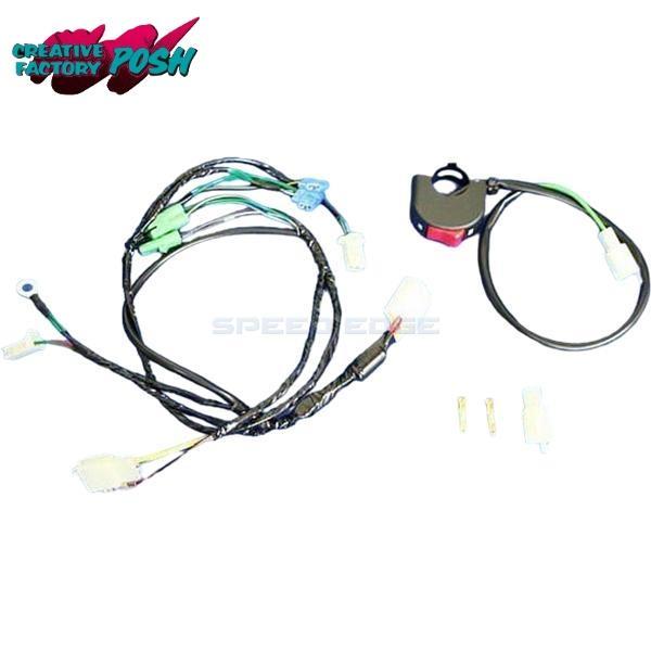 CF POSH CFポッシュ 295215 レーシングSPハーネスキット APE50/100