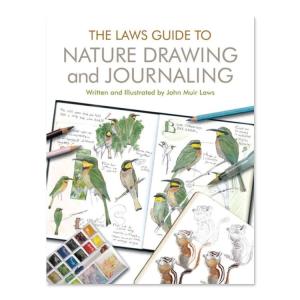 【洋書】自然の描画とジャーナリングのための法則ガ...の商品画像